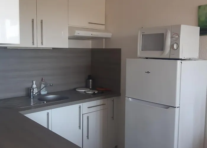 T2 Rez-de-chaussée, D'argos, Piscine, Accès Direct Plage, Parking, 4 Pers, Port - Fr-1-798-30 Appartement