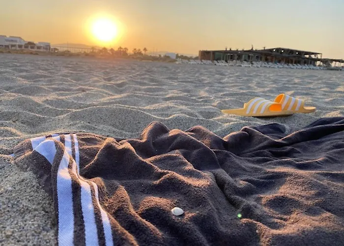 T2 Rez-de-chaussée, D'argos, Piscine, Accès Direct Plage, Parking, 4 Pers, Port - Fr-1-798-30 * Leucate